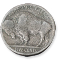 Buffalo nickel